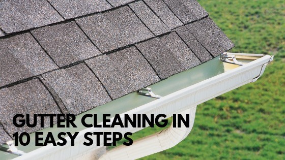 How to Clean Gutters Like a Pro