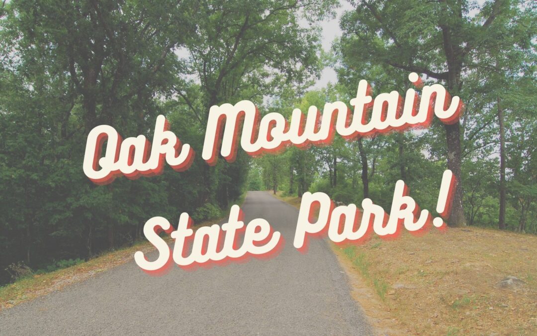 Top Reasons to Visit Oak Mountain State Park in Alabama this Fall