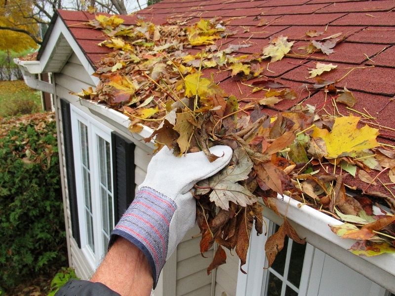 image of gloved hand removing leaves from a gutter