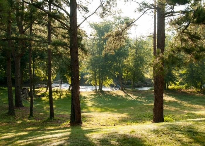 Activities in Pelham Oak Mountain State Park 