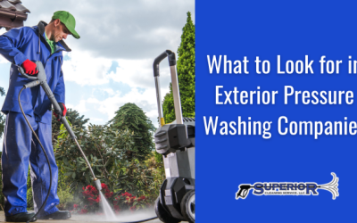 What to Look for in Exterior Pressure Washing Companies