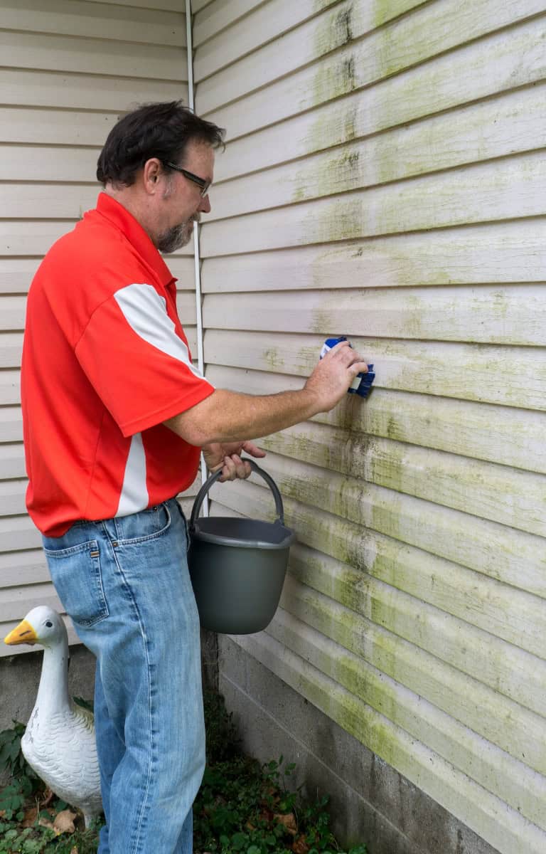 Vinyl Siding Cleaning Service