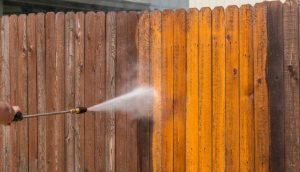 Fence Cleaning
