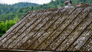 Preventative Measures to Protect Your Roof