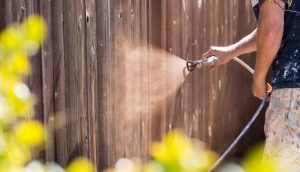 Fence Stain 