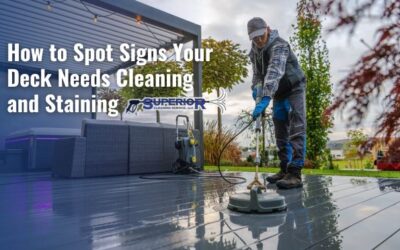 How to Spot Signs Your Deck Needs Cleaning and Staining